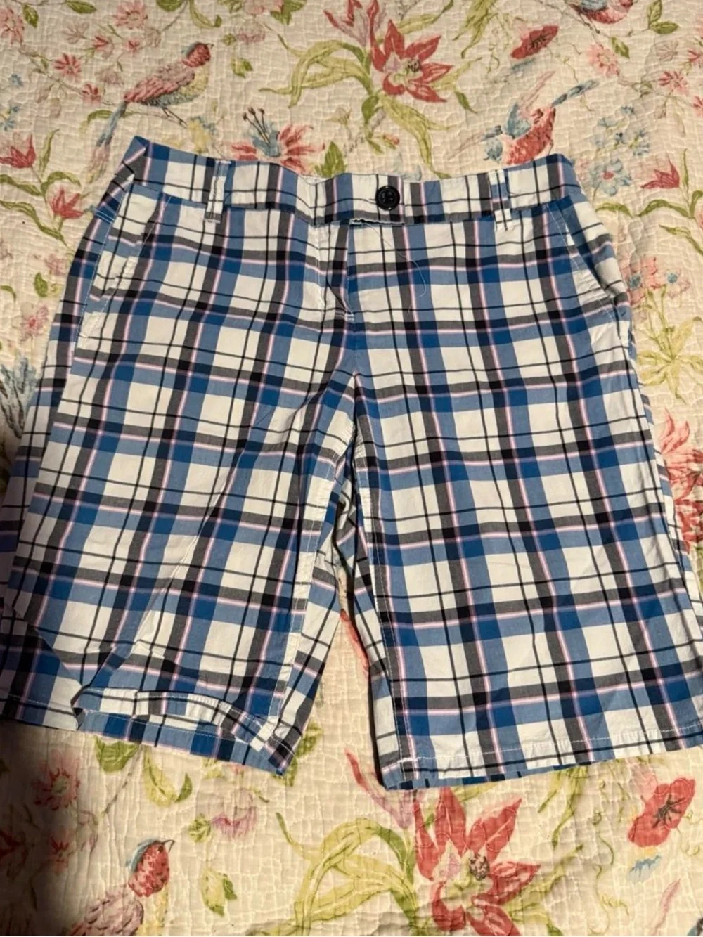 New York & Company Navy, Light Blue and White Plaid Flat-Front Shorts